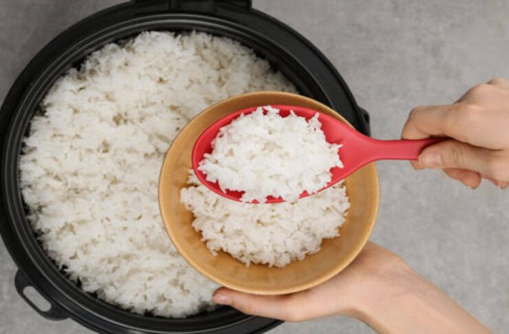 if-you-take-rice-made-in-an-electric-rice-cooker-you-will-be-danger