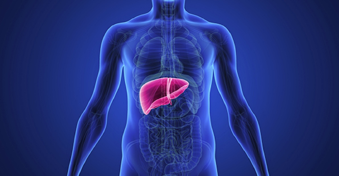 do-this-things-to-say-bye-bye-to-fatty-liver