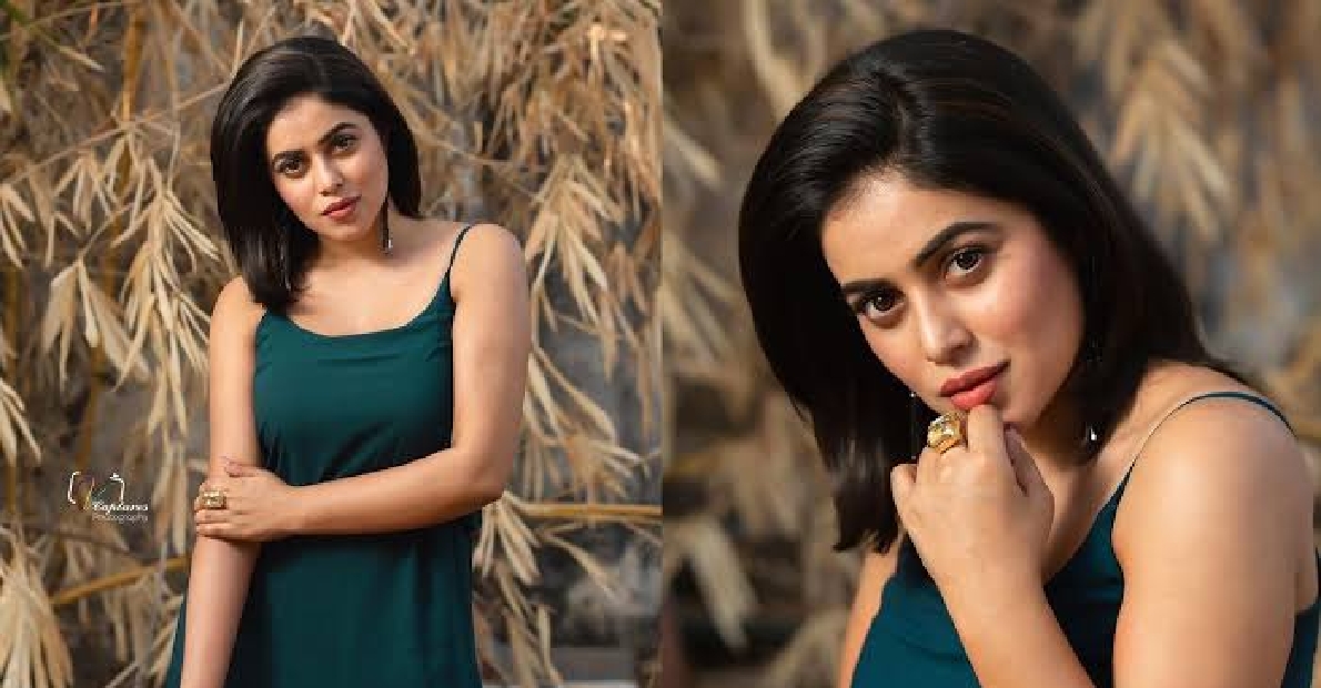 Poorna: మా మధ్య ఏదో ఉందన్నారు - దర్శకుడి మాటలకు స్టేజ్‌పైనే ఏడ్చేసిన పూర్ణ