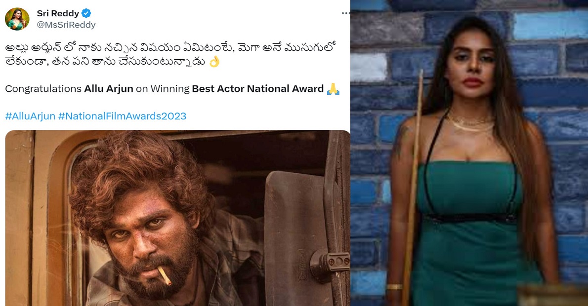what-i-liked-about-bunny-from-the-beginning-was-sri-reddy-viral-comments