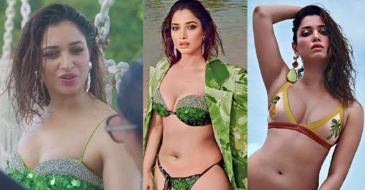 star-actor-tamannaah-harshly-said-that-she-is-ready-to-show-her-private-parts-if-she-pays-more-money